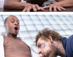 Interracial gay porn